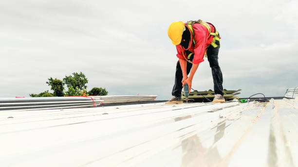 Trusted Seward, NE Roofing Services Experts